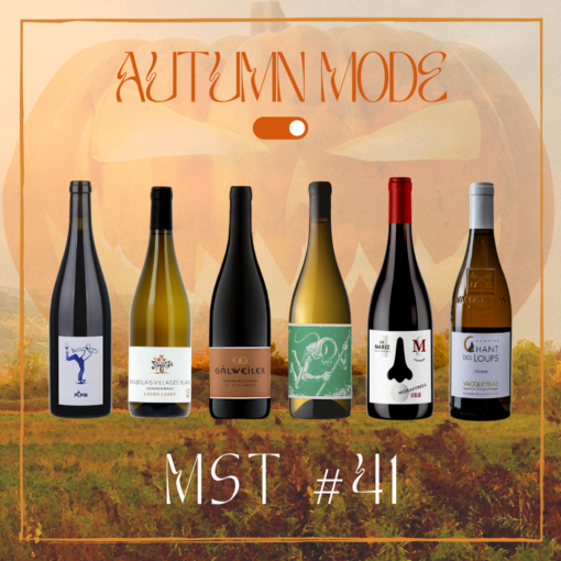 Autumn mode on MST #41